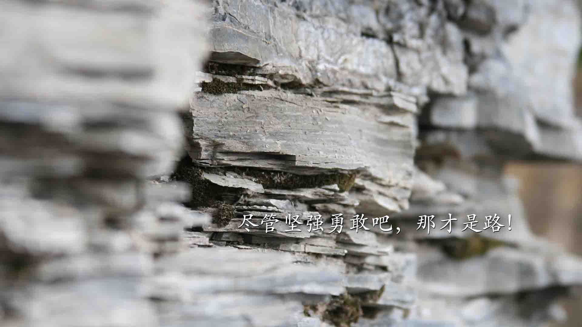 九游网页版入口-RNG战术打法多样化，rng打的什么比赛