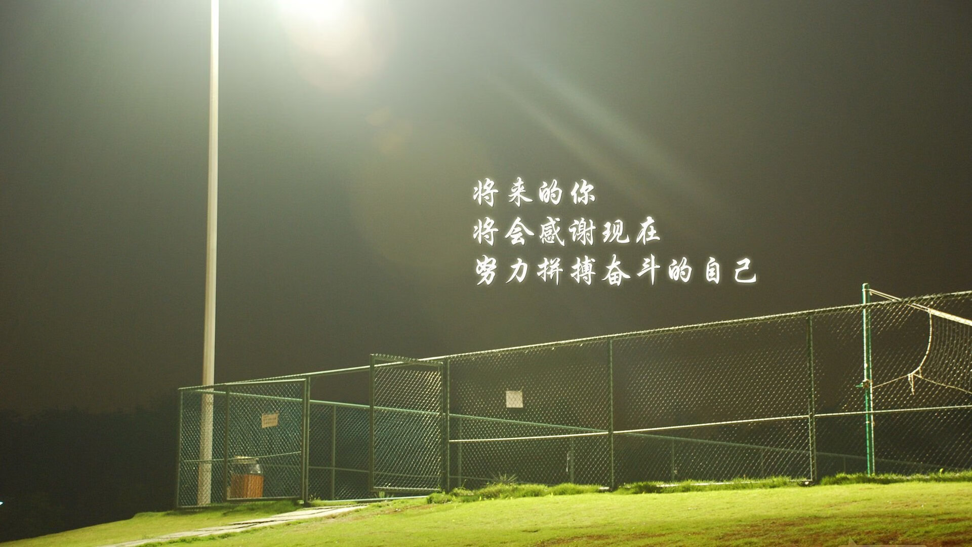 巴西队在2024年南美锦标赛中排名第八，巴西队将与美国队争夺冠亚军
