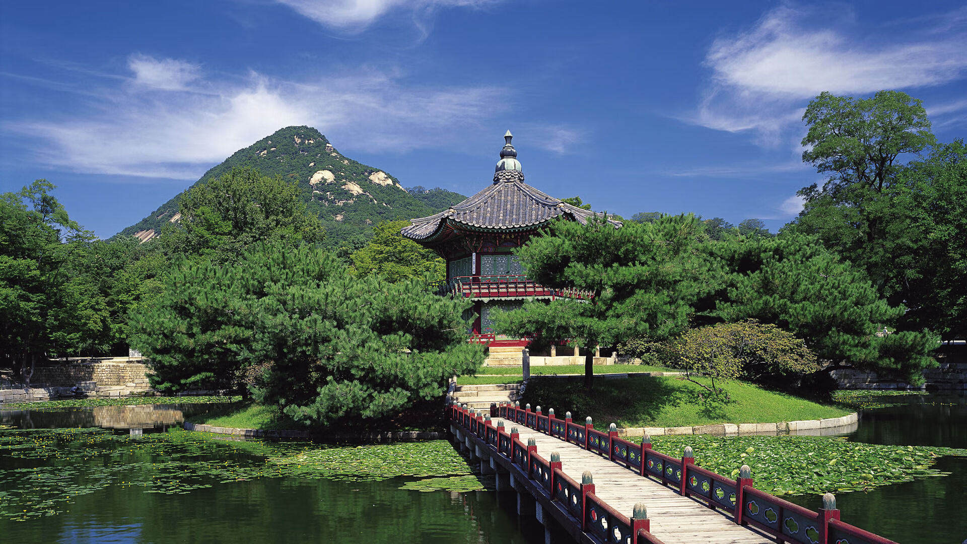 荷兰队在国家联赛中4-0大胜匈牙利，晋级四分之一决赛。，荷兰4比0西班牙
