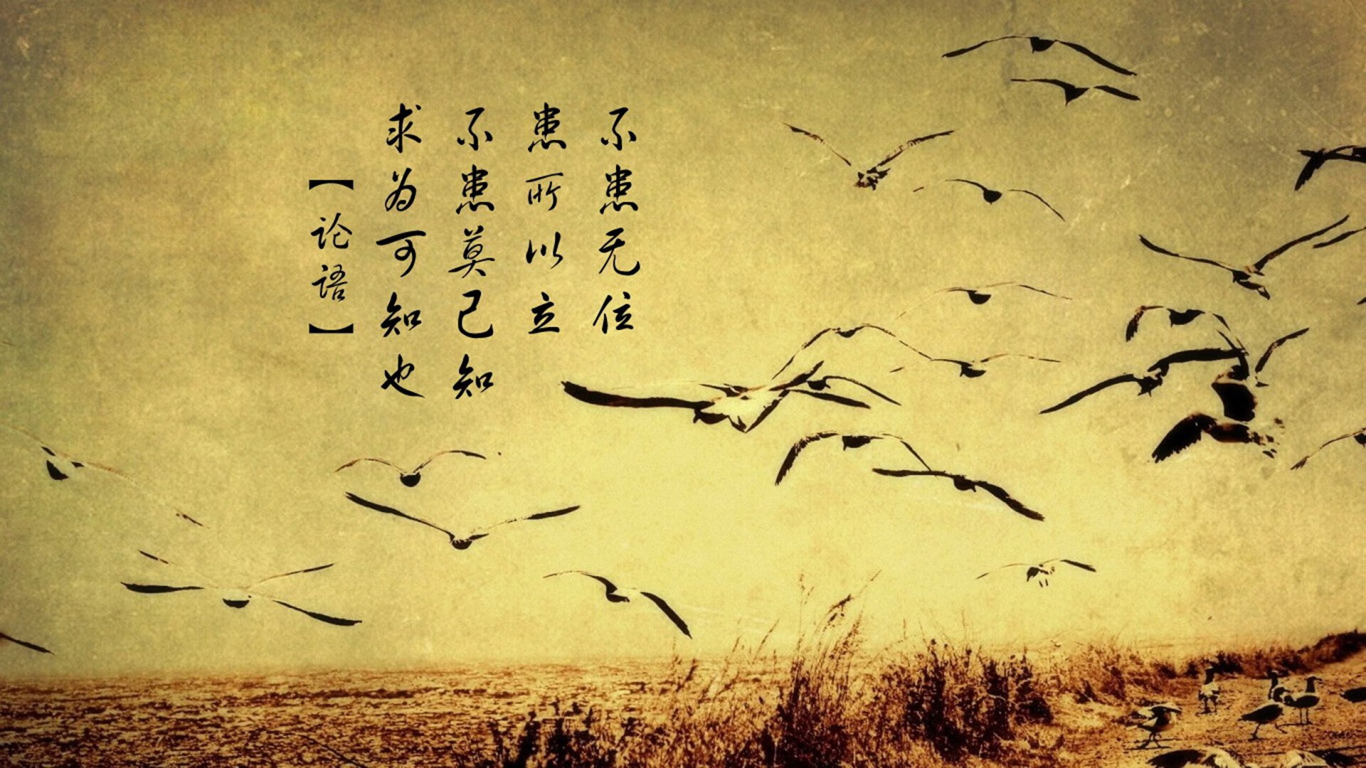 中国篮球职业联赛裁判员技术水平提升，中国篮协裁判员管理条例暨实施细则