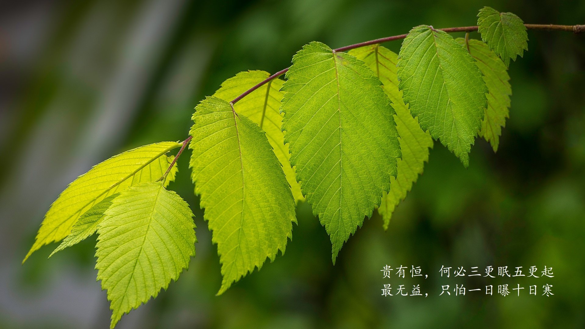 城市马拉松规划与城市规划部门协同,马拉松保障 城管