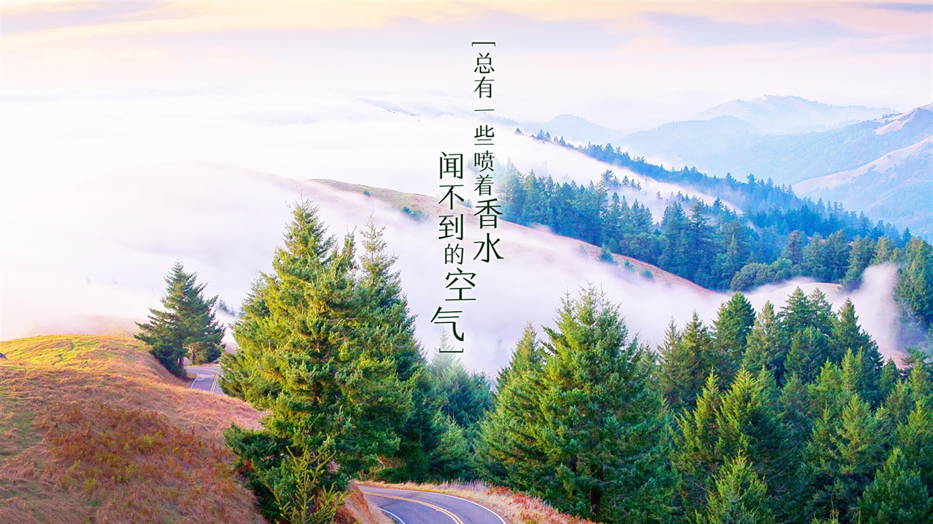 乌兰多决赛起跳节奏精准