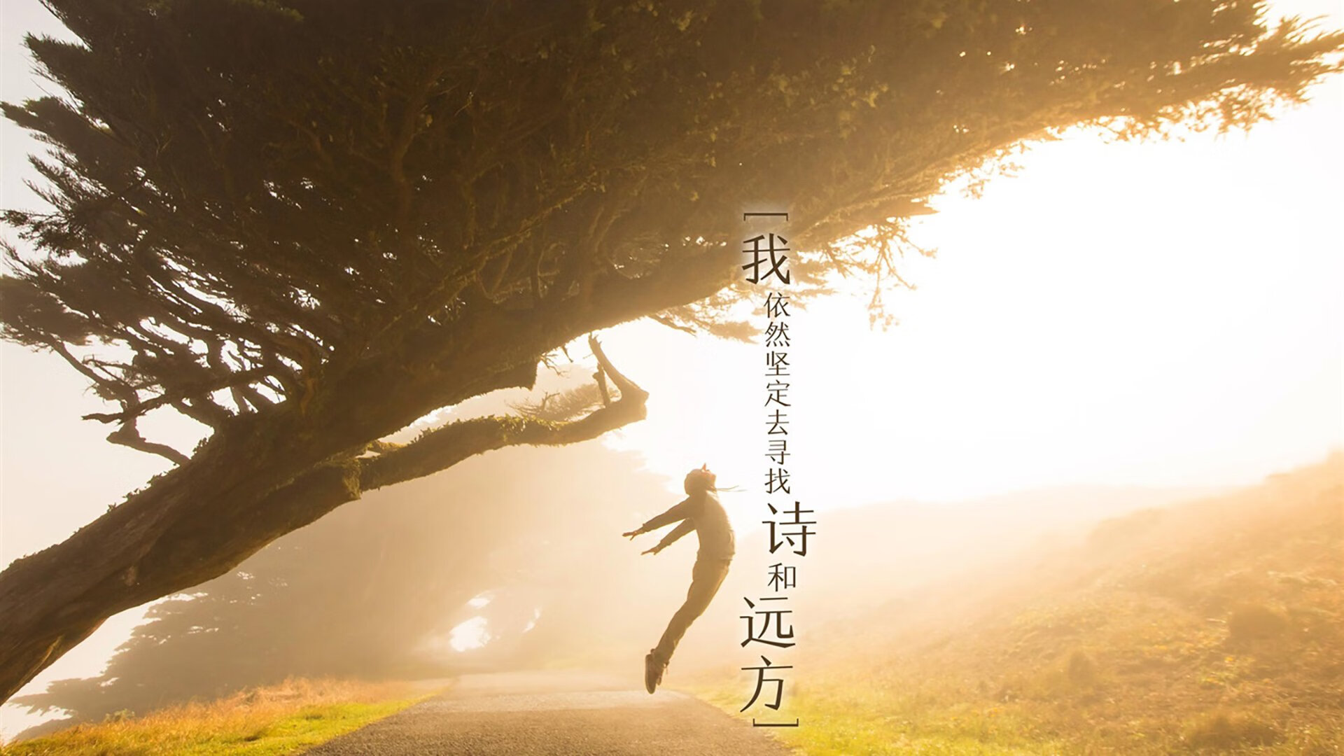 九游娱乐官网 (jiuyou)-体育新闻中心国际赛事走向，国内体育新闻报道