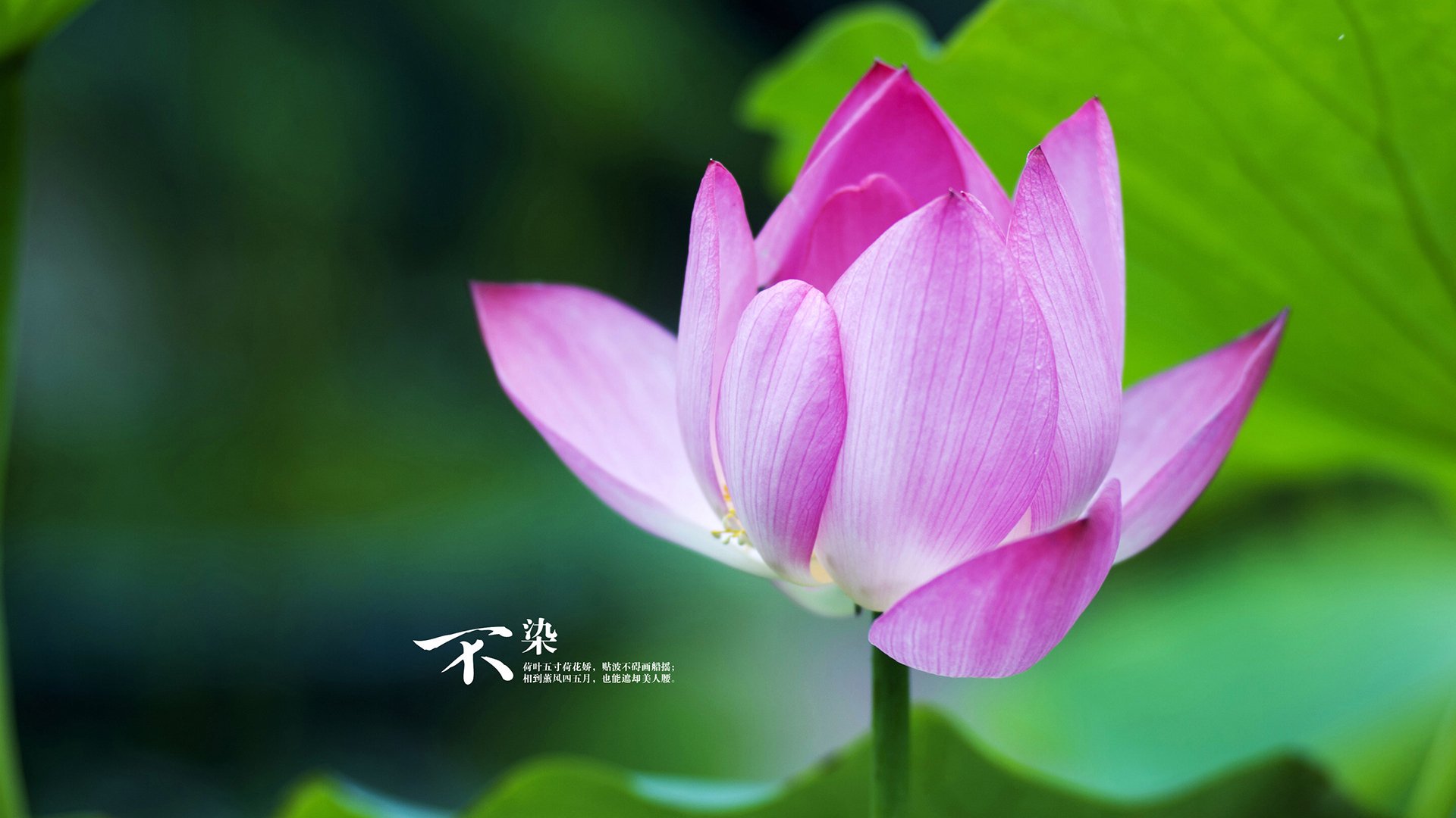 九游(jiuyou)官方网站-英超绿茵争锋：精彩不断，悬念难解！，f绿茵吧