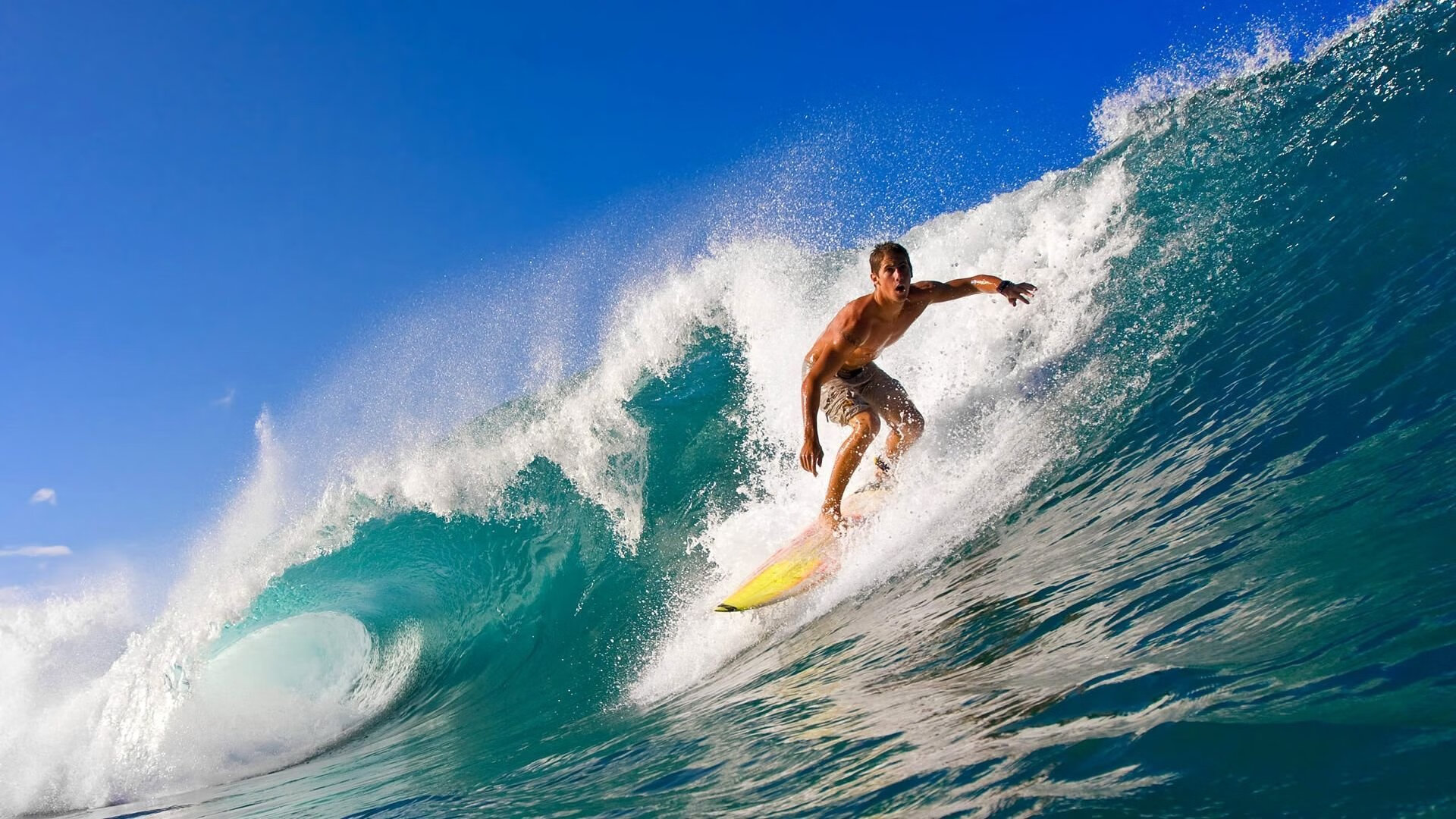 乒乓球锦标赛：快节奏对决扣人心弦，乒乓球锦标赛视频